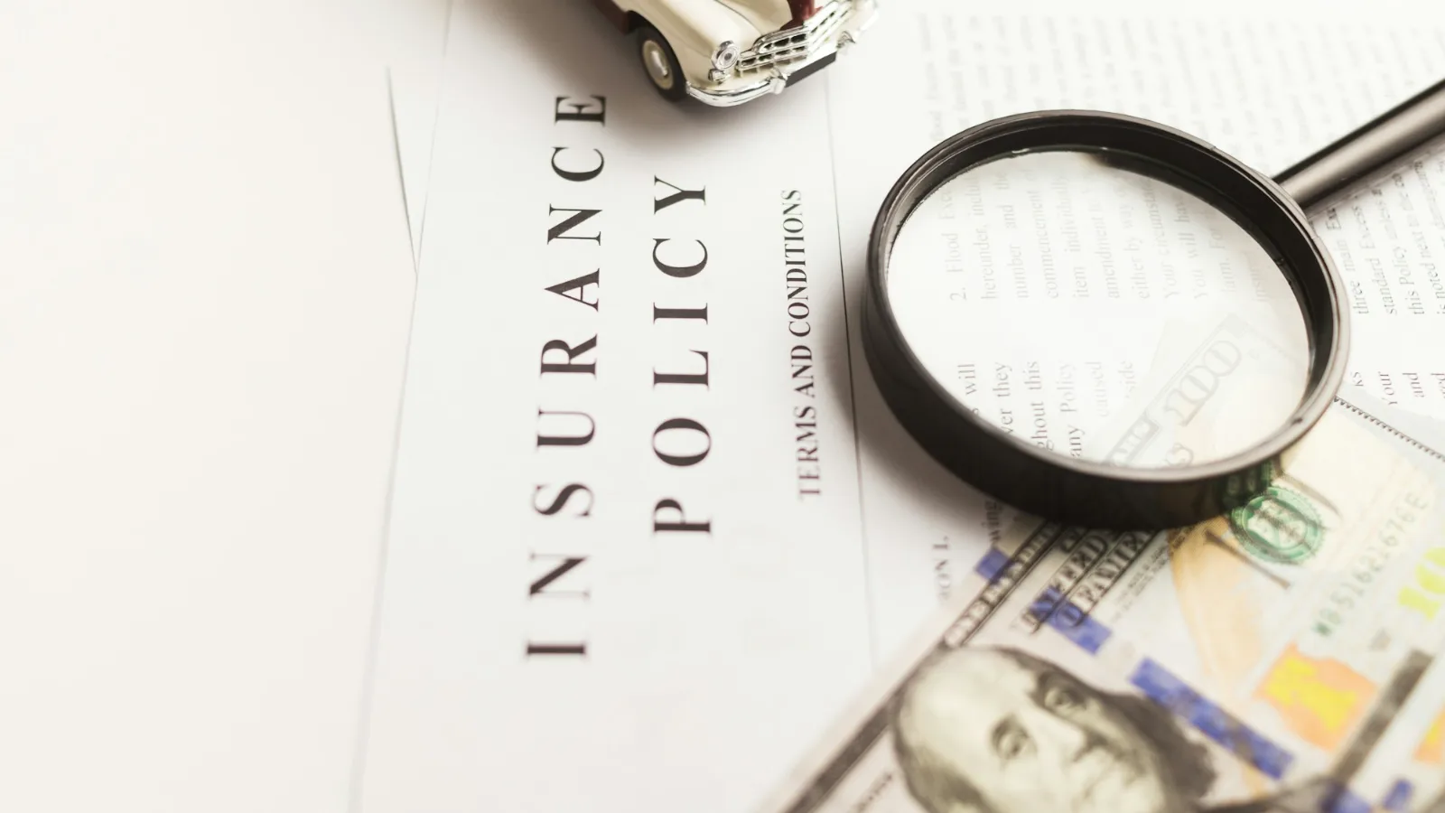 Does homeowners insurance cover mold removal? An insurance policy checked under a magnifying glass