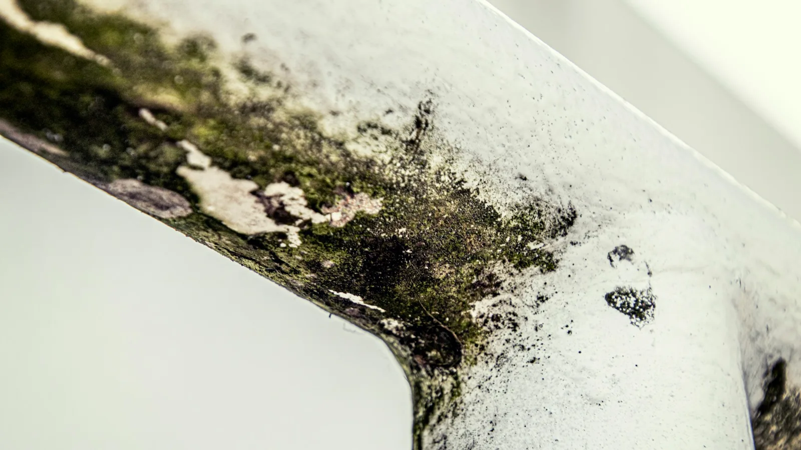 Black mold spreading along white painted trim, one of the clearest signs of mold in house corners and edges